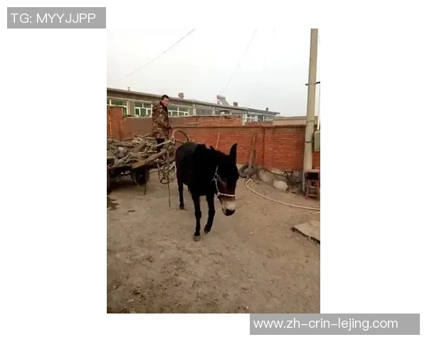 日本宅男圈新宠？牛高马大摔跤手顺手自拍照，也能让男网友炸锅！太心爱？